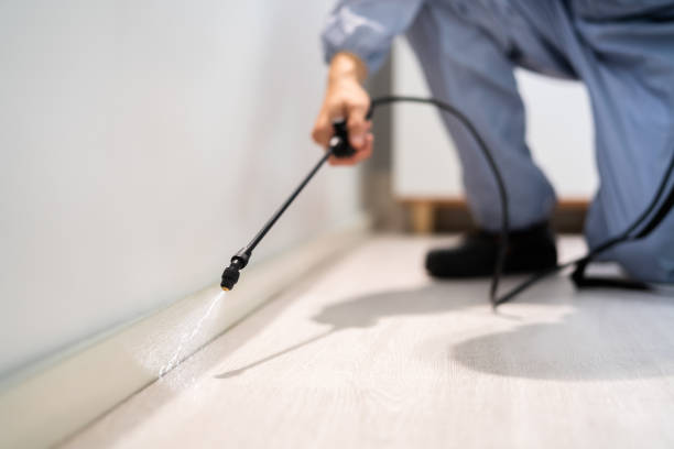 Licensed Fumigation Services service in Mount Pleasant, PA - Nex Pest Control