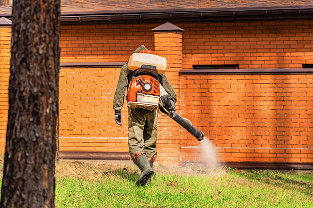 Trusted Bed Bug Control service in Mount Pleasant, PA - Nex Pest Control